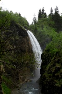 IMG_6986