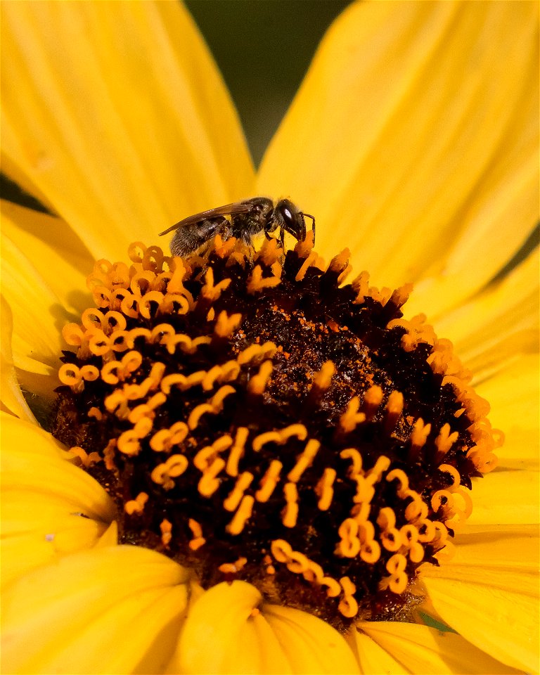 20210209-IMG_0238