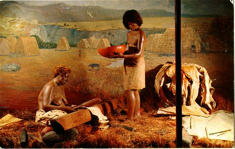 Kapa Makers, Waimea, Hawaii