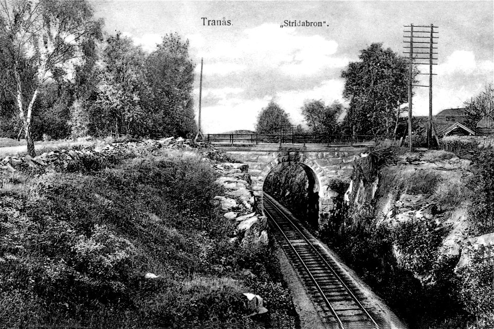 238 Stridabron 1917