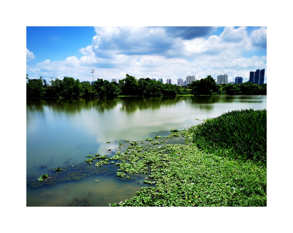 Jurong Lake