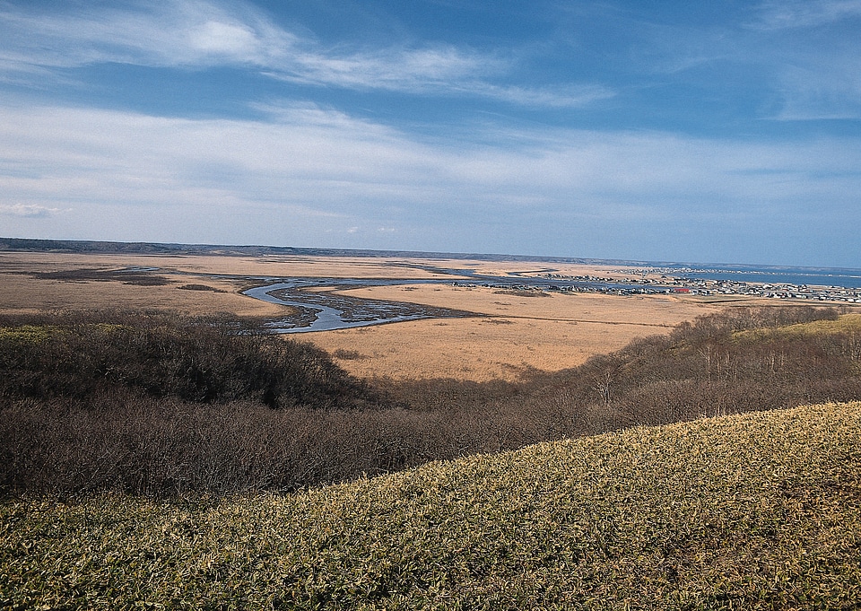 Autumnal landscape with agricultural field
