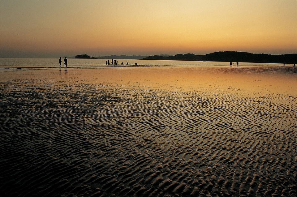 sea sunset photo