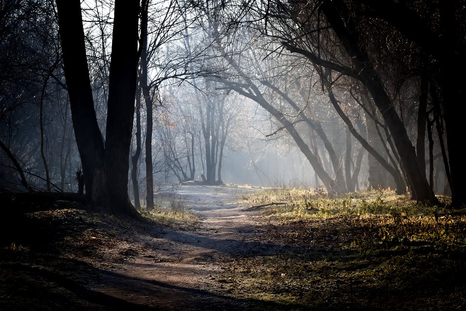 Park path