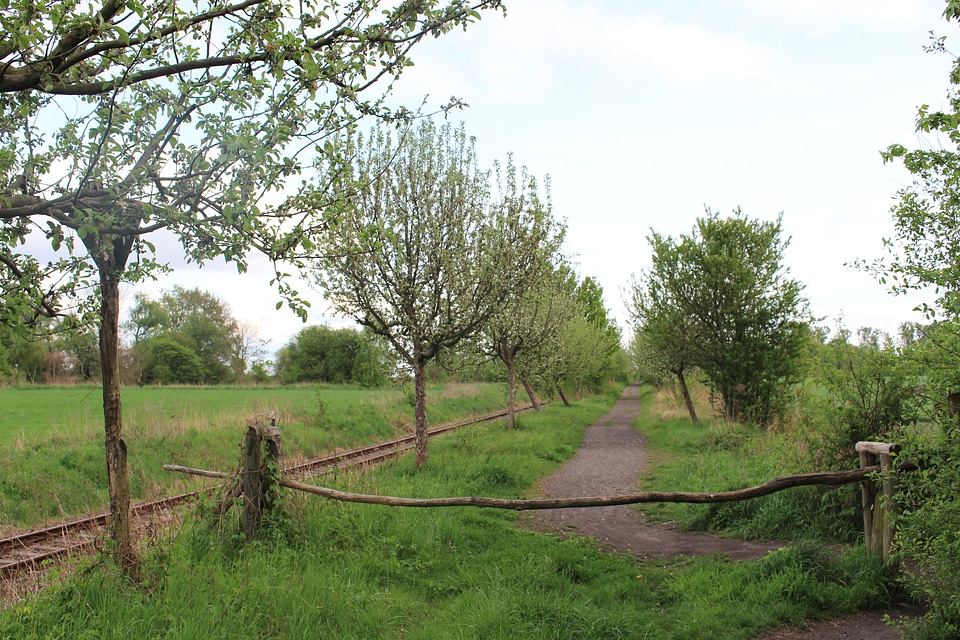 old railway track on the morning forest landscape