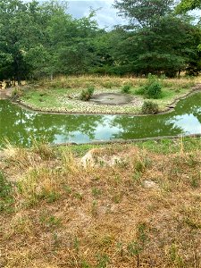 Howell 20220720-011-02 (Pond+2)