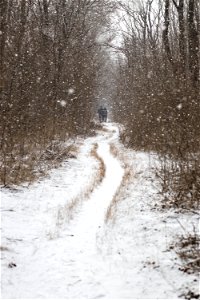 Winter & Park