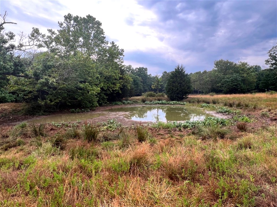 St. Clair 20220720-005-01 (pond)