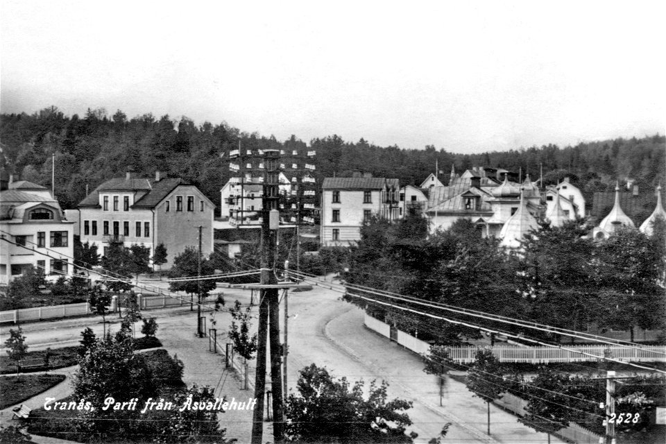 013 Parti från Åsvallehult
