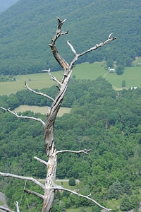 Seneca Rocks West Virginia hiking