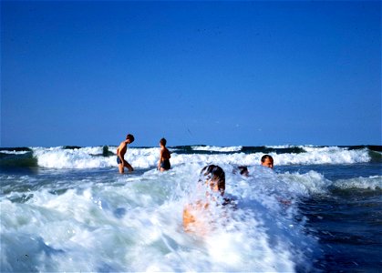 Family Slides (166)