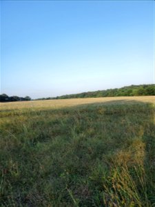 Lawrence 20220706-001-02 (dry+pasture+2022)
