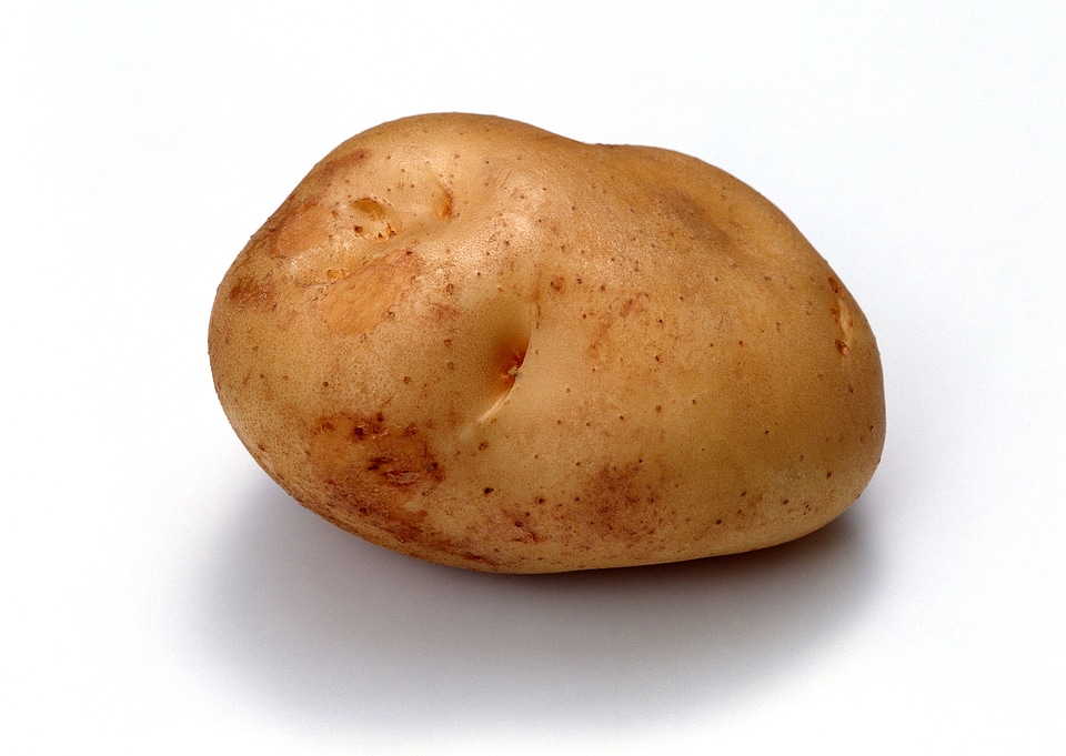 potato on white background