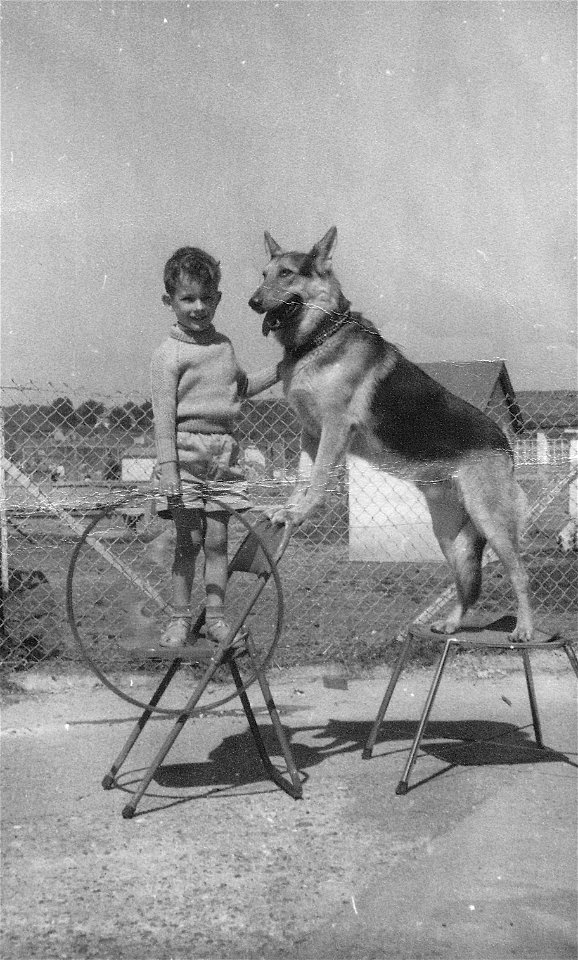 Sandown Zoo, Isle of Wight, 1962