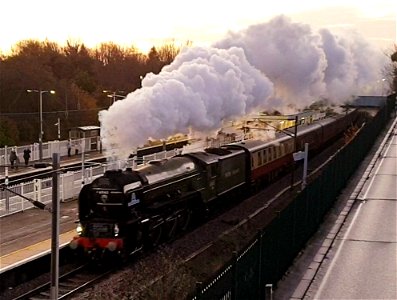 60163 Tornado at Oakleigh Park with the 'Christmas White Rose' photo