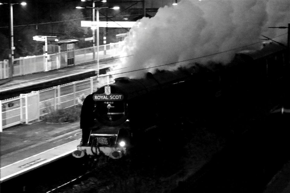 18 Dec 2021: Duchess of Sutherland on Christmas White Rose