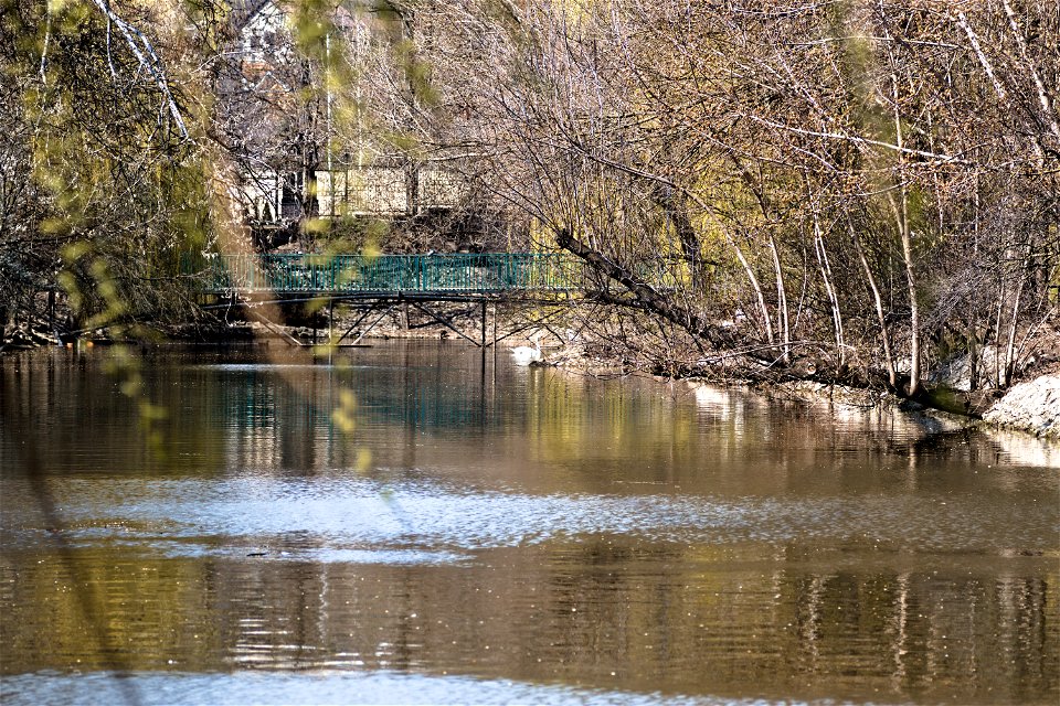 A lake in Chisinau Zoo
