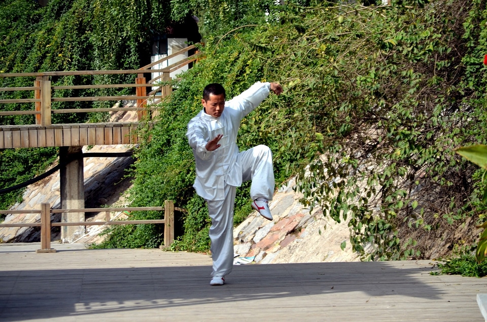 Chinese martial art posture photo