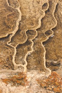 Yellowstone Texture