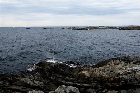 IMG_8779
