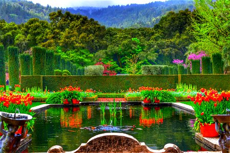 Filoli Garden, California photo