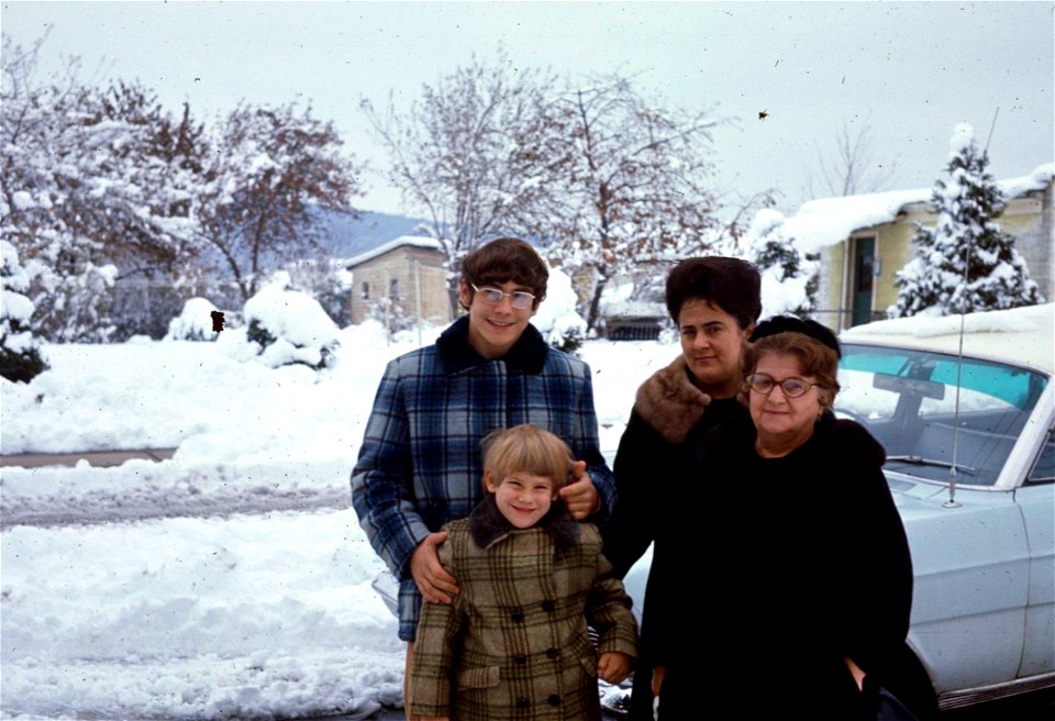Family Slides (353)