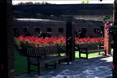 Southsea Rose Gardens 1984