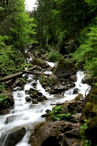 IMG_7065