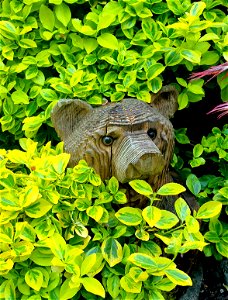 Bear Chainsaw Sculpture, 2022 photo