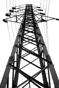 Towering into the sky