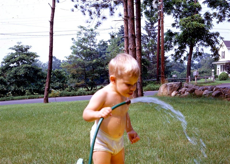 Family Slides (110)