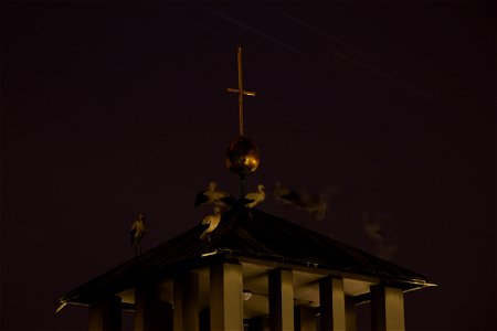 IMG_8006
