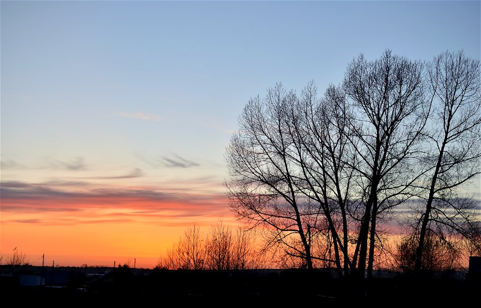 autumn forest at sunset
