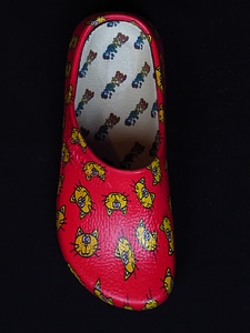 Shoes slippers dutch