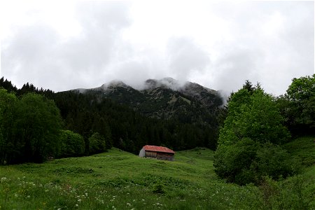 IMG_7068
