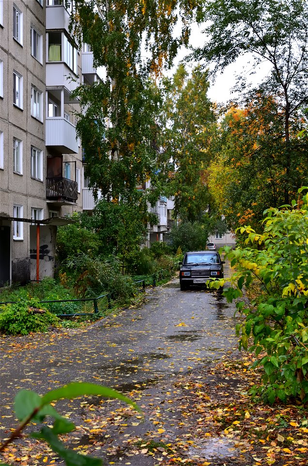 city streets on a rainy autumn day
