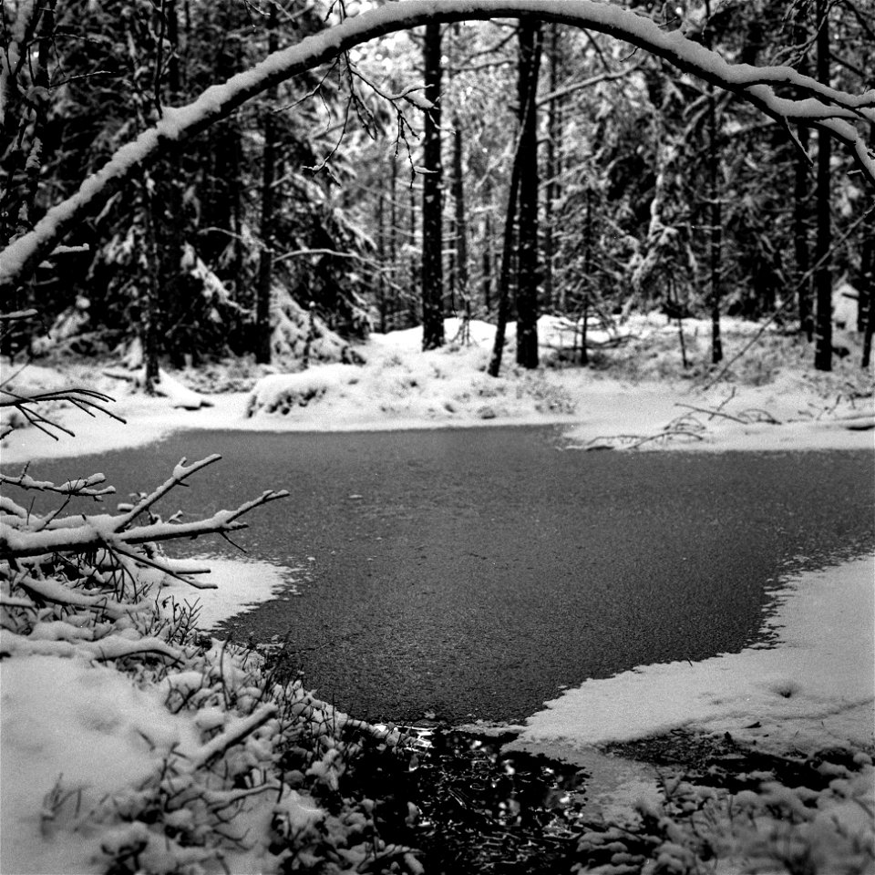 Winter 2021 - IX
