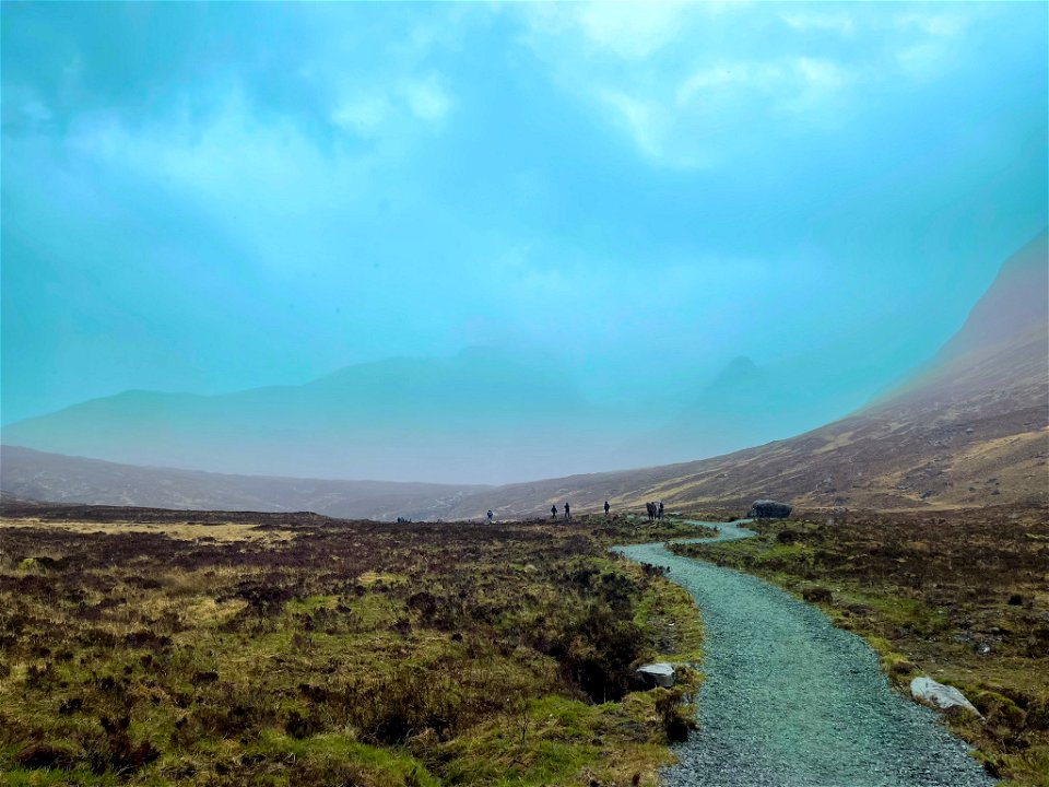 Scottish Highland