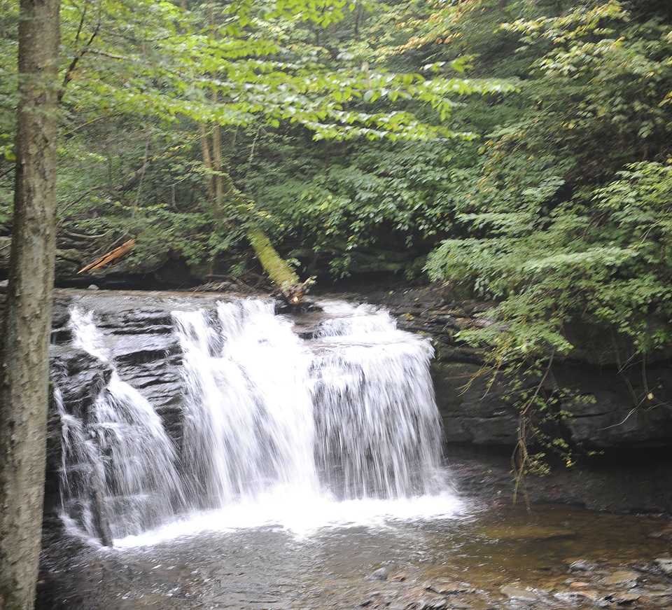 Ricketts Glen State Park