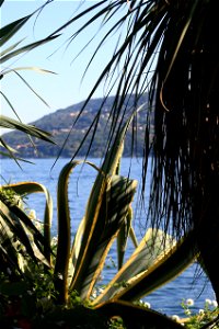 Isola Madre, Lake Maggiore photo