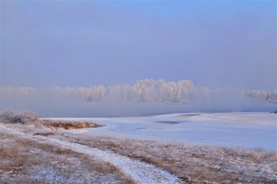 foggy frosty morning on the river bank photo