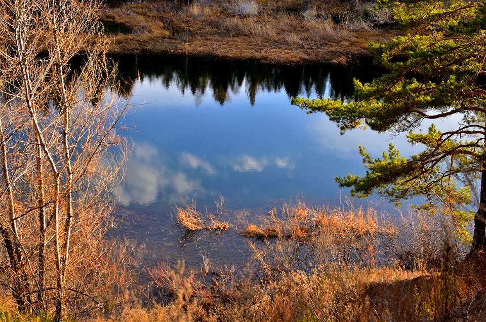 autumn forest by the lake photo