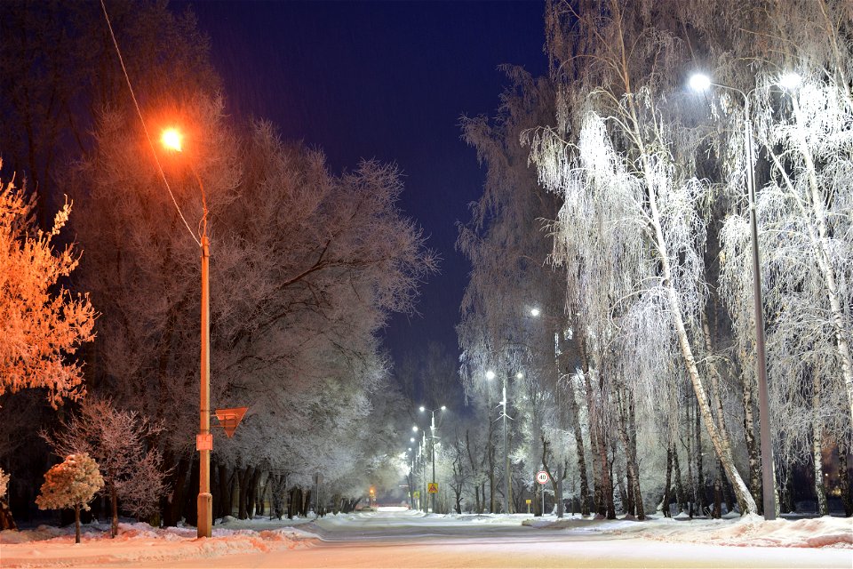 winter morning in the city park photo