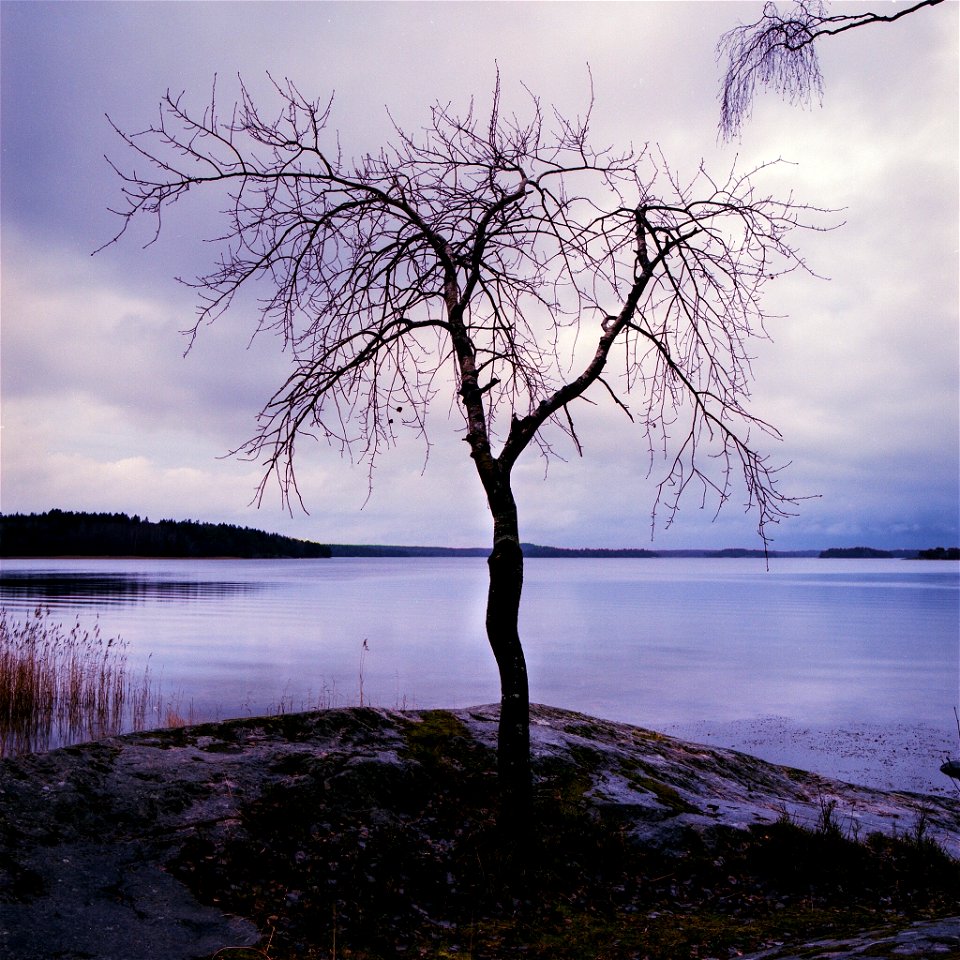 Gålö I
