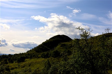 IMG_3433