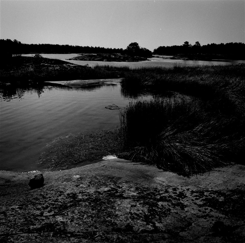 Somewhere in Småland III photo