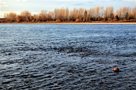 Autumn on the Yenisei River
