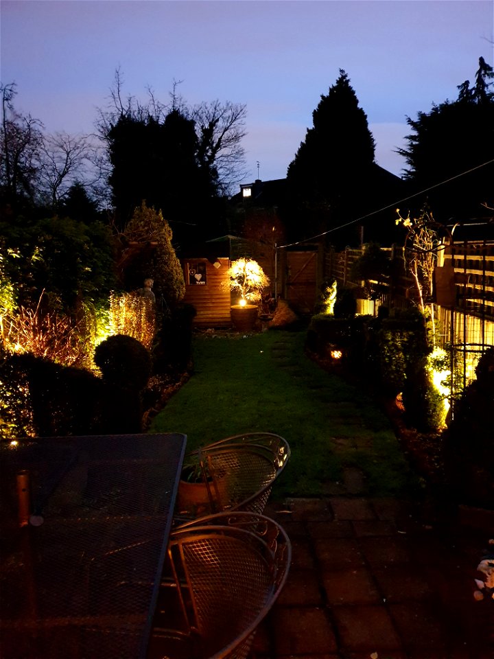 Garden at Dusk, December 2019 photo