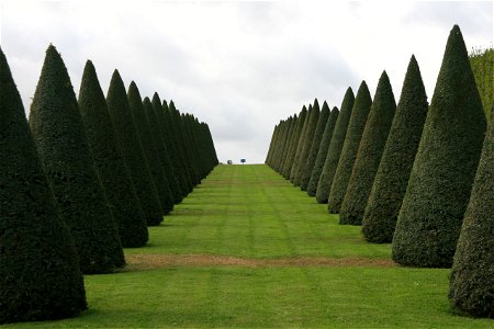 Palace of Versailles 2009