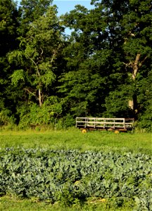 Sisters Hill Farm